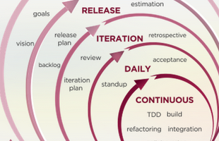 Image of Agile Lifecycle Across Organizational Scales